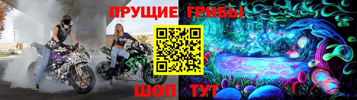 Галлюциногенные грибы Psilocybine cubensis Пушкино